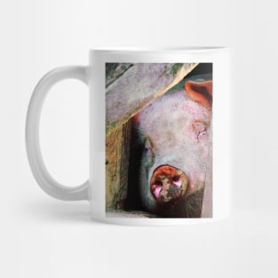 Pigs - Pig Sleeping Mug